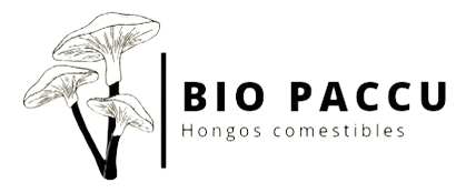 LOGO_-_BIO_PACCU-removebg-preview